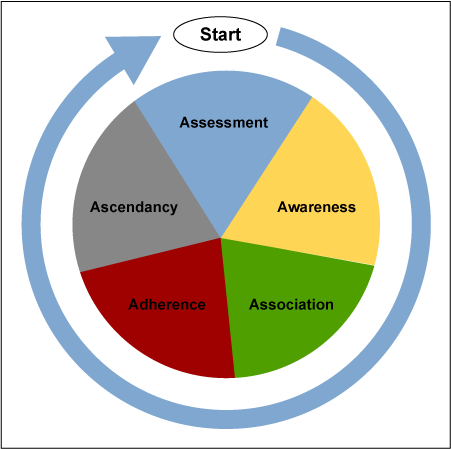 Figure 2: 5A Cycle for Getting Started with Lean