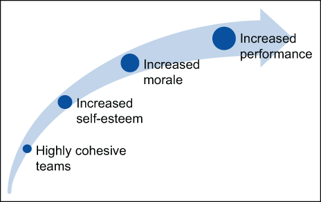 Figure 2: Cohesiveness to Performance