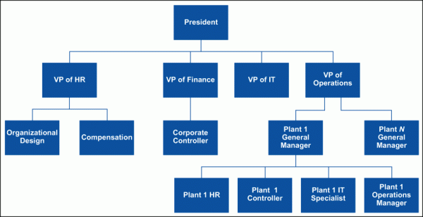 Sample Organization Structure