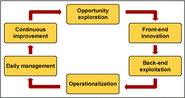 Figure 1: Continuous Improvement Framework