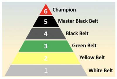 The Path to Becoming a Certified Six Sigma Black Belt - isixsigma.com