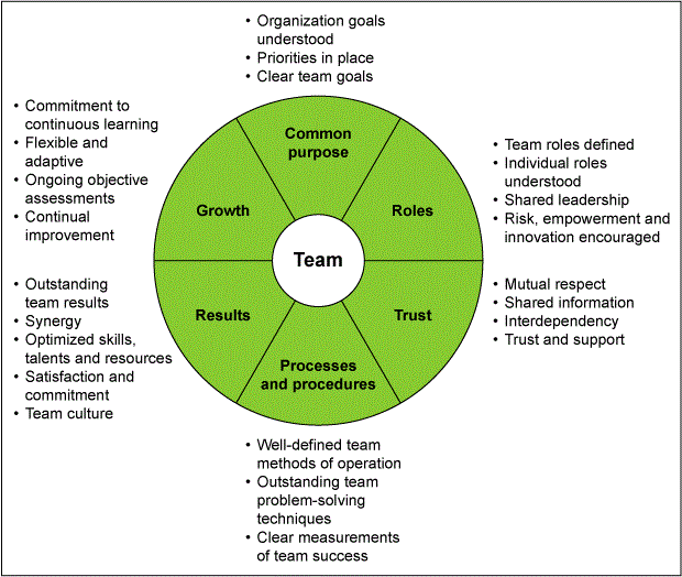 Figure 1: The Team Characteristics Wheel