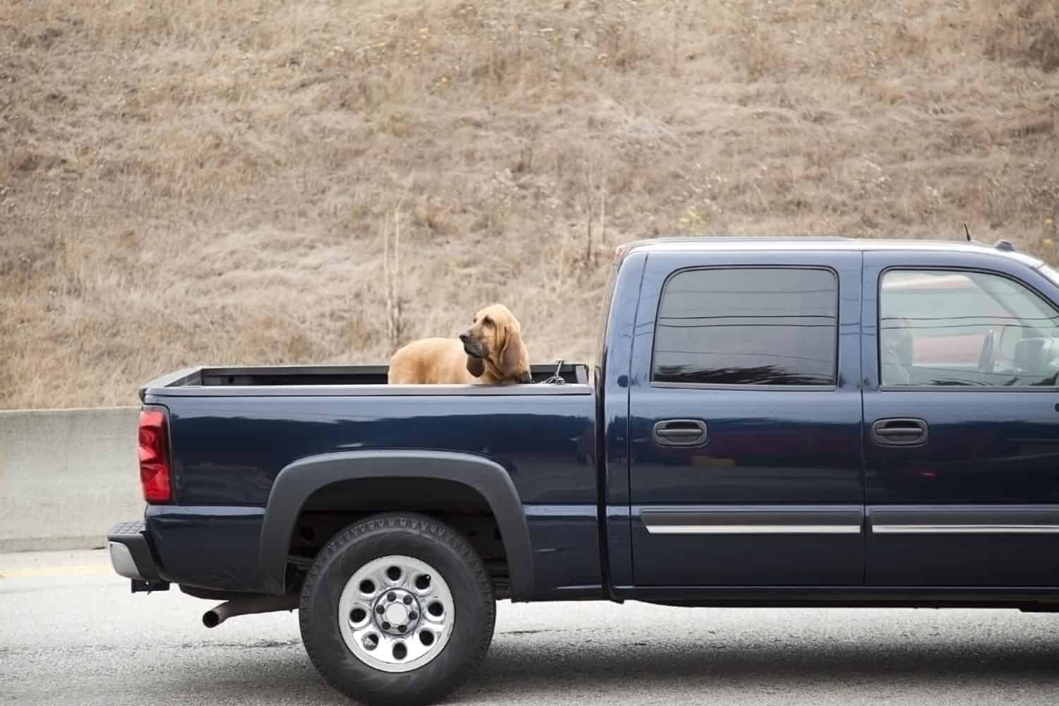 Pickup trucks driving off road