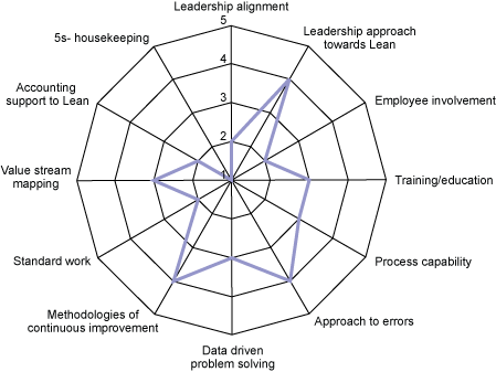 Figure 1: Radar Chart of Lean Six Sigma Maturity Scores