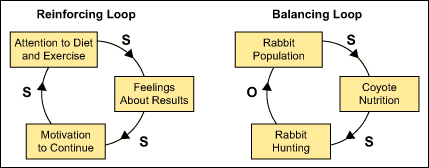 Figure 5: Reinforcing and Balancing Loops