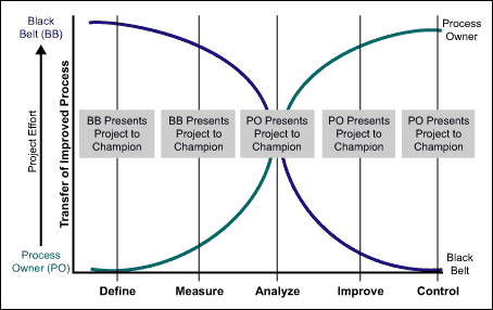 Figure 2: Black Belt and Process Owner