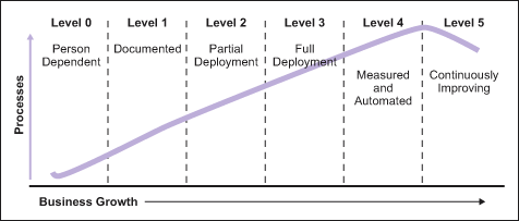 Figure 2: Business and Process Growth Figure 2: Business and Process Growth