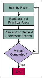 Figure 1: Risk Management Process