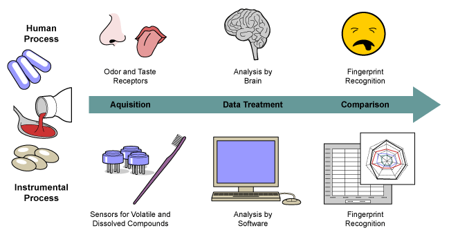 Figure 2: Digitalizing the Human Process: Analogy of Human and Sensor-based E-Sensing