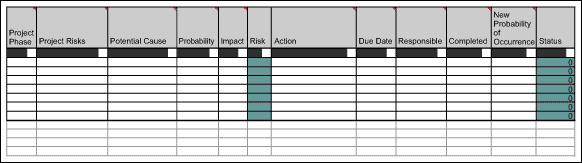 Figure 1: "Light" Version of FMEA Risk Mitigation Plan